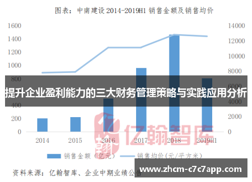 提升企业盈利能力的三大财务管理策略与实践应用分析 提升企业盈利能力的三大财务管理策略与实践应用分析