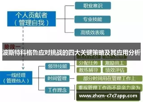 波斯特科格鲁应对挑战的四大关键策略及其应用分析 波斯特科格鲁应对挑战的四大关键策略及其应用分析