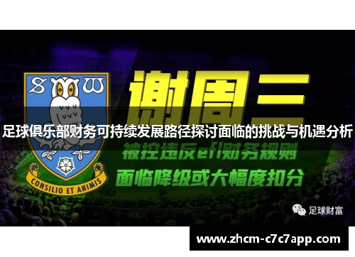 足球俱乐部财务可持续发展路径探讨面临的挑战与机遇分析