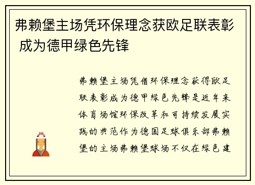 弗赖堡主场凭环保理念获欧足联表彰 成为德甲绿色先锋